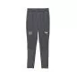Preview: Suisse Training Pants grey - 2024-25
